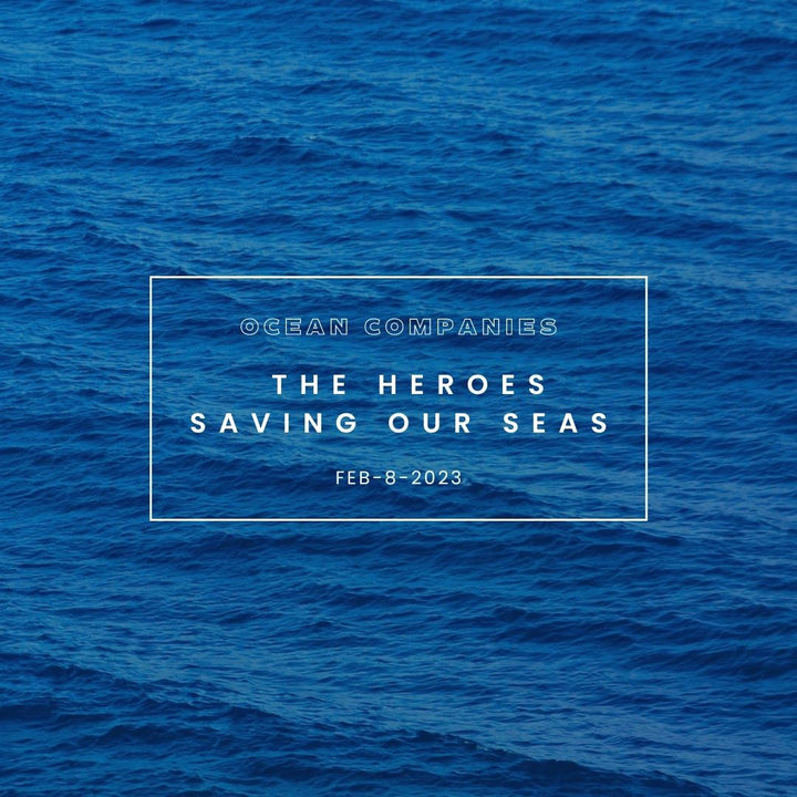 Ocean Companies: The Heroes Saving Our Seas