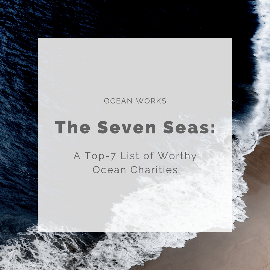 The Seven Seas: A Top-7 List of Worthy Ocean Charities