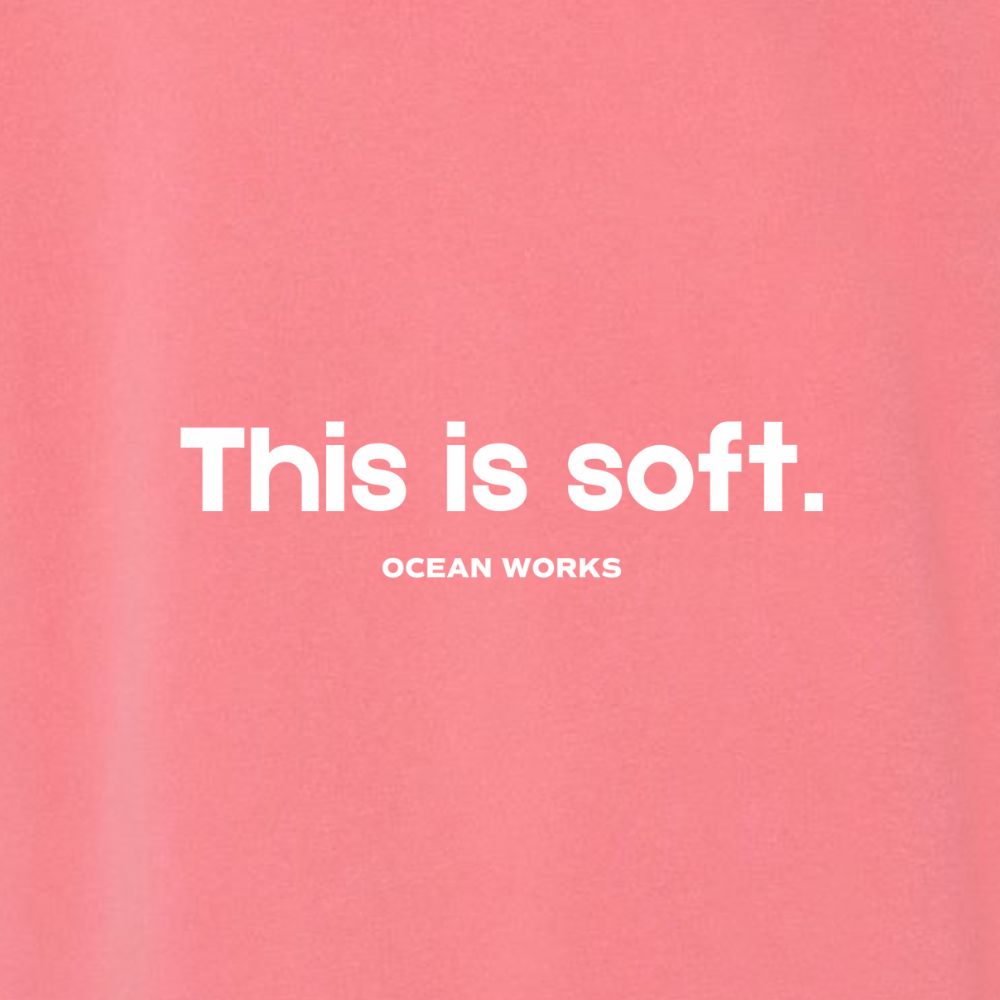 THIS IS SOFT" OW HOODIE DESIGN