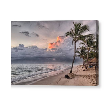 Palm Trees and Clouds - Canvas Print - Ocean Works