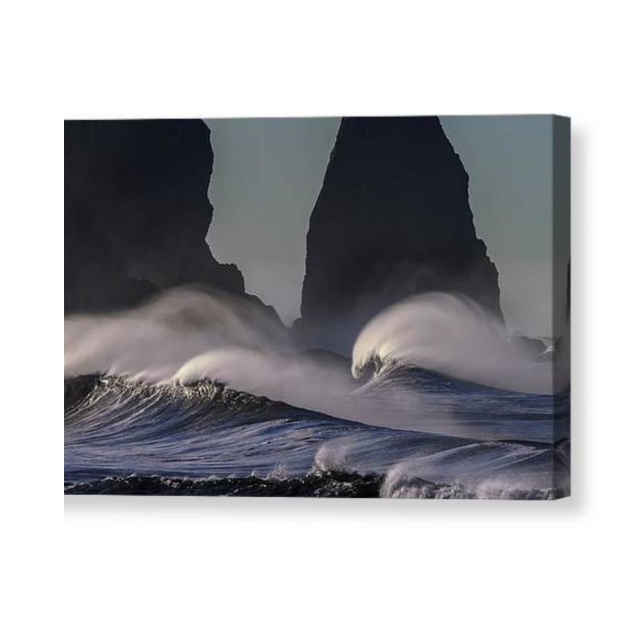 Tidal Wave - Canvas Print - Ocean Works