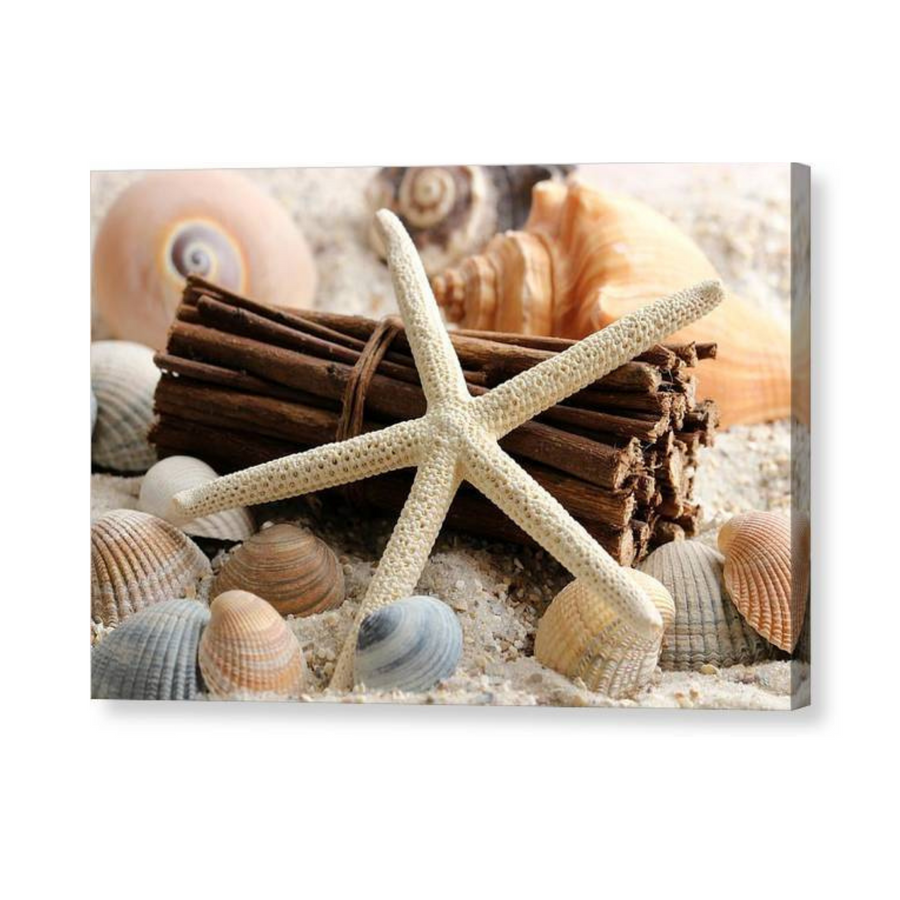 Sand Starfish - Acrylic Print - Ocean Works