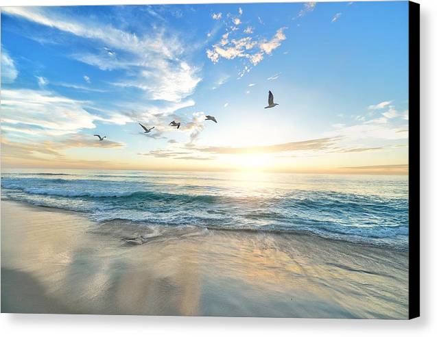 Birds over Sunset - Canvas Print - Ocean Works