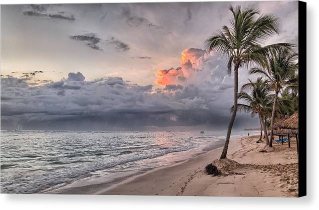 Palm Trees and Clouds - Canvas Print - Ocean Works