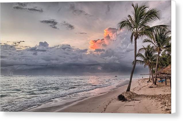 Palm Trees and Clouds - Canvas Print - Ocean Works