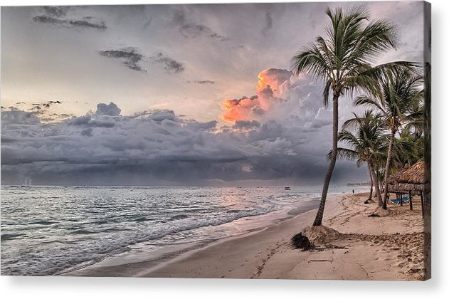 Palm Trees and Clouds - Acrylic Print - Ocean Works