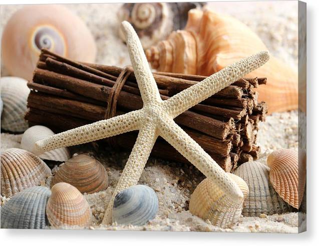 Sand Starfish - Canvas Print - Ocean Works