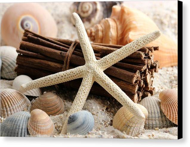 Sand Starfish - Canvas Print - Ocean Works