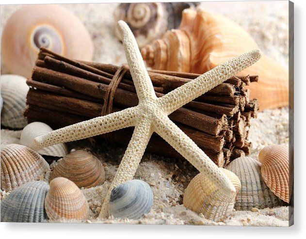 Sand Starfish - Acrylic Print - Ocean Works