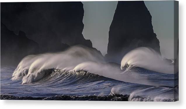 Tidal Wave - Canvas Print - Ocean Works