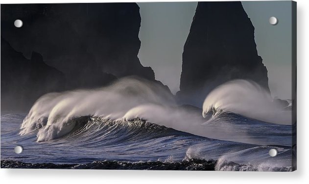 Tidal Wave - Acrylic Print - Ocean Works
